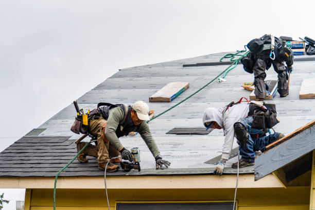 Professional Storm Damage Roof Repair technician working in Brunswick, TN